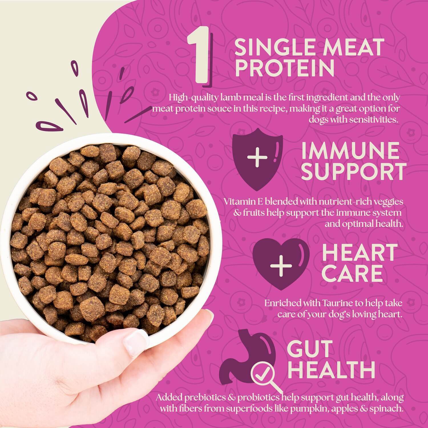 Earthborn Holistic Meadow Feast Grain-Free Dry Dog Food Lamb Meal & Vegetables 25-Lb Bag