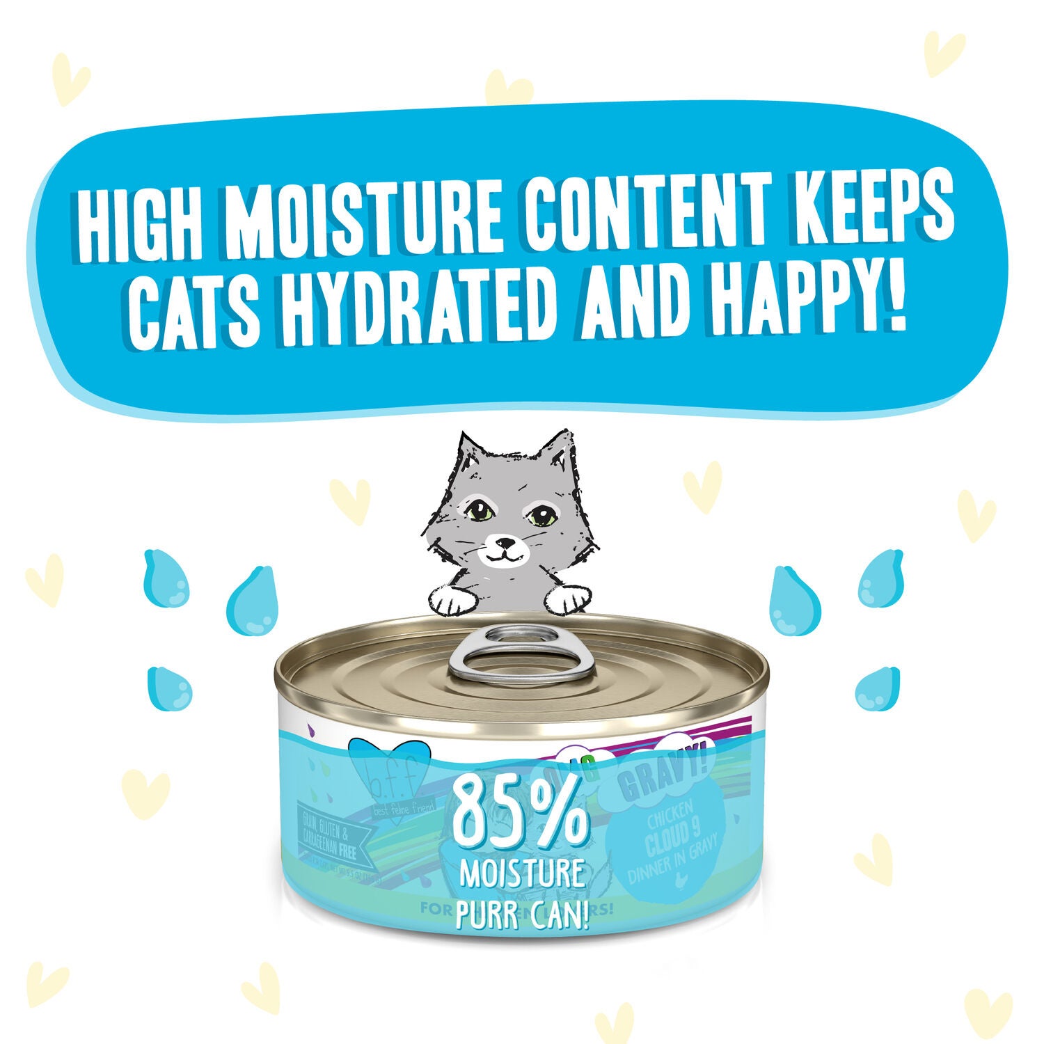Weruva Bff Omg Gravy Chicken Cloud 9 Wet Cat Food, 2.8-Oz Can Pack Of 12