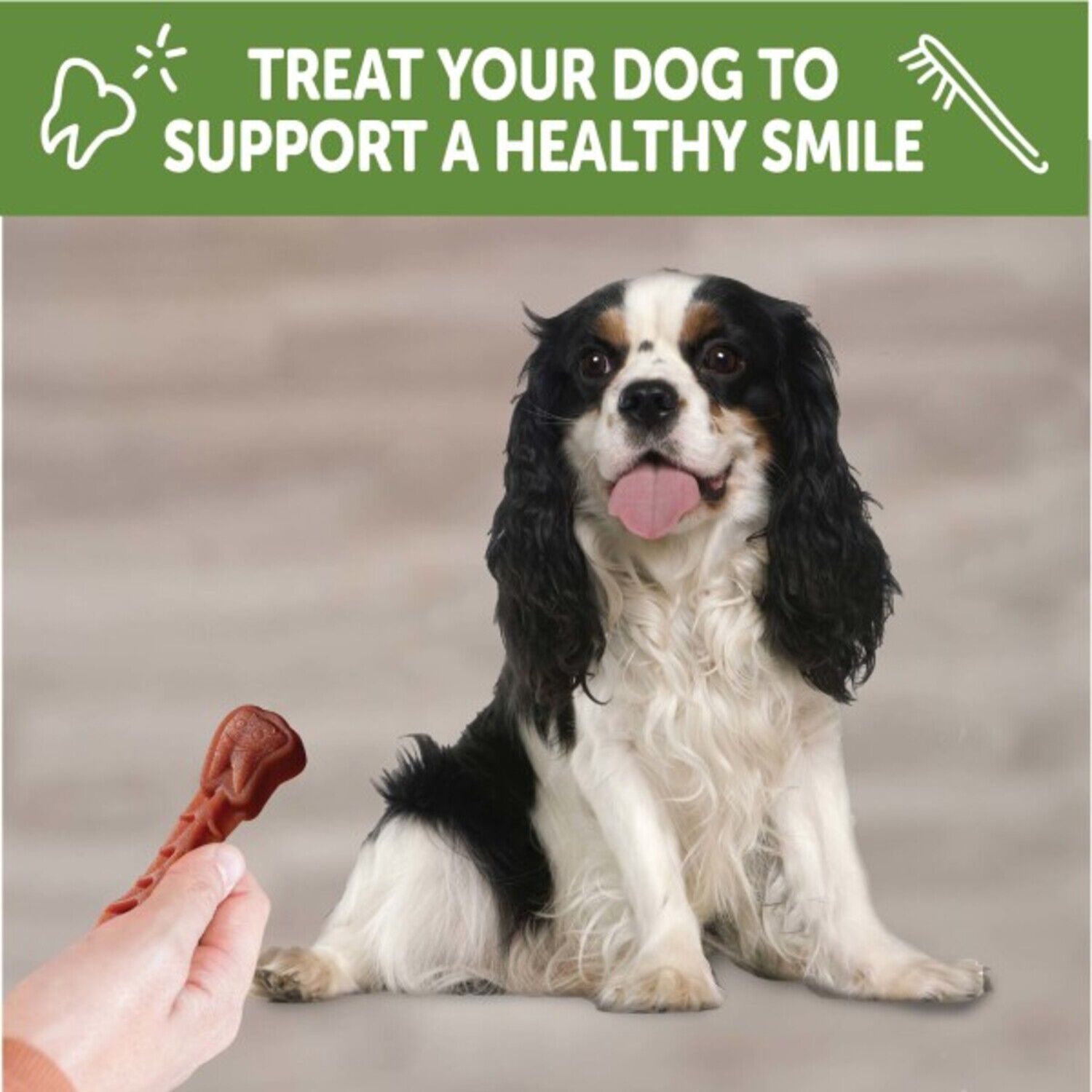 Whimzees Brushzees Natural Grain Free Dental Chews For Dogs, Small Breed, 24 Count