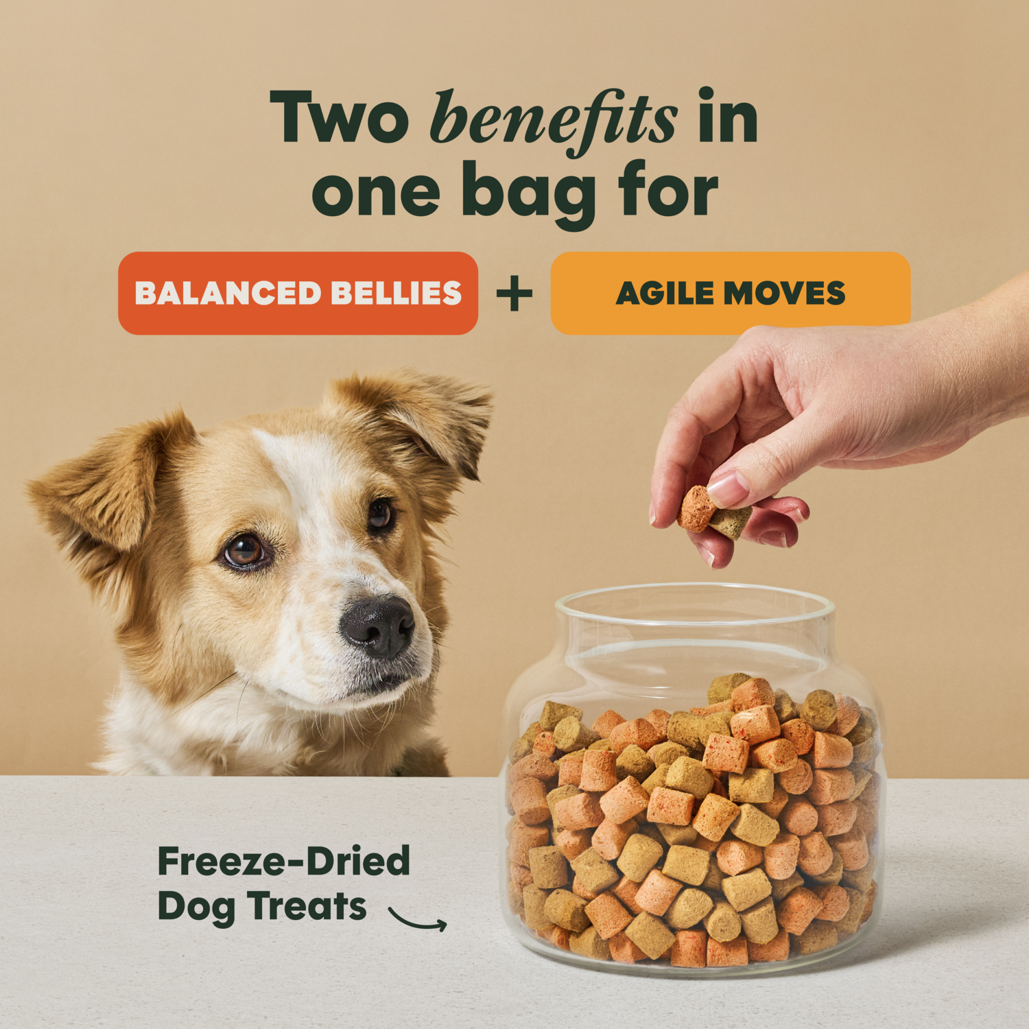 Instinct Duos Feelin' Good 2:1 Gut Health + Healthy Mobility Freeze-Dried  Dog Treats, 4-Oz