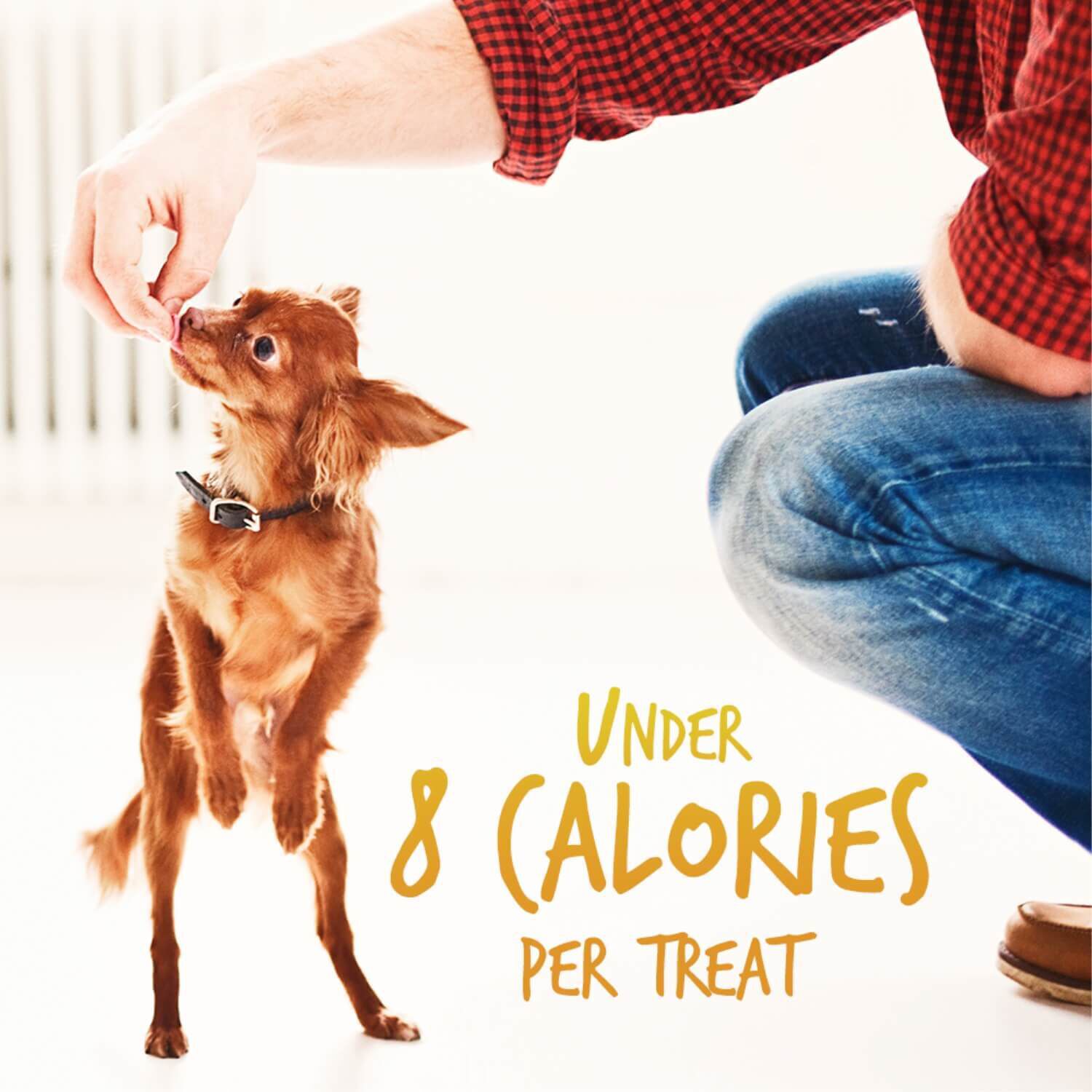 Fruitables Baked Pumpkin & Banana Flavor Healthy Low Calorie Dog Treats