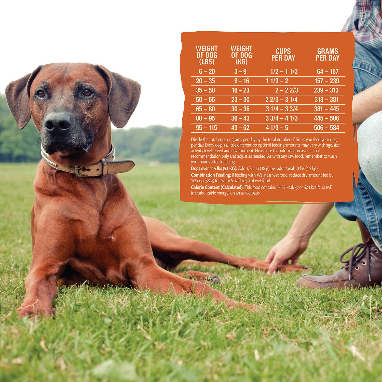 Wellness Core Rawrev Original Freeze-Dried Deboned Turkey