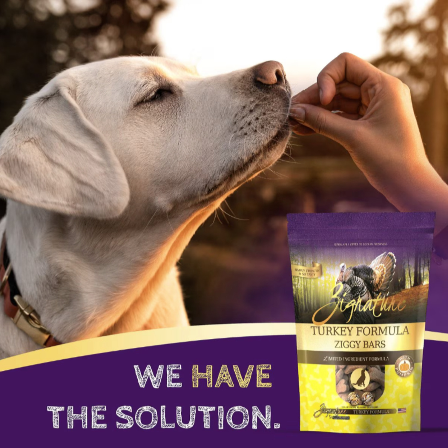 Zignature Turkey Formula Ziggy Bars Biscuit Dog Treats