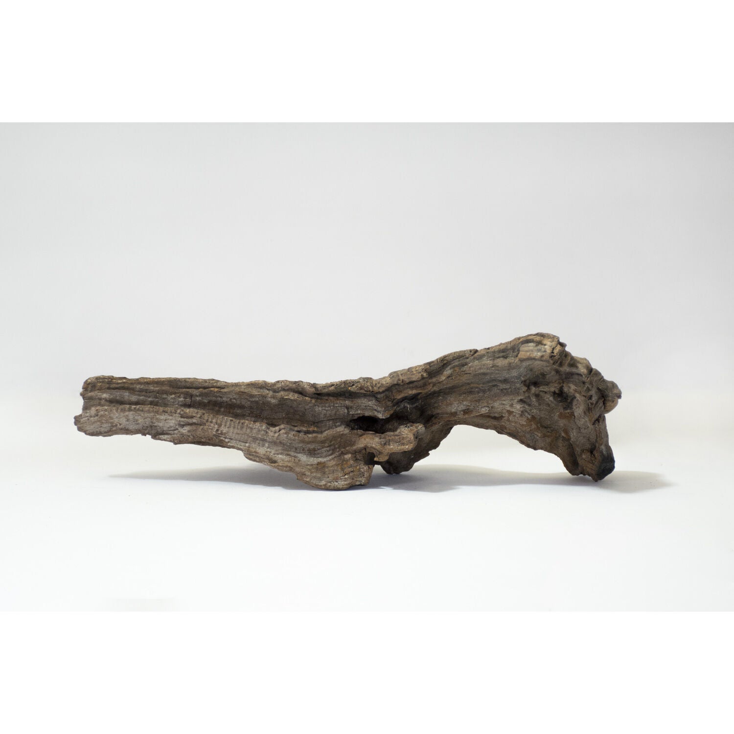 Gal&aacute;pagos Sinkable Driftwood Aquarium And Terrarium Decor, Natural, Medium 11-13"