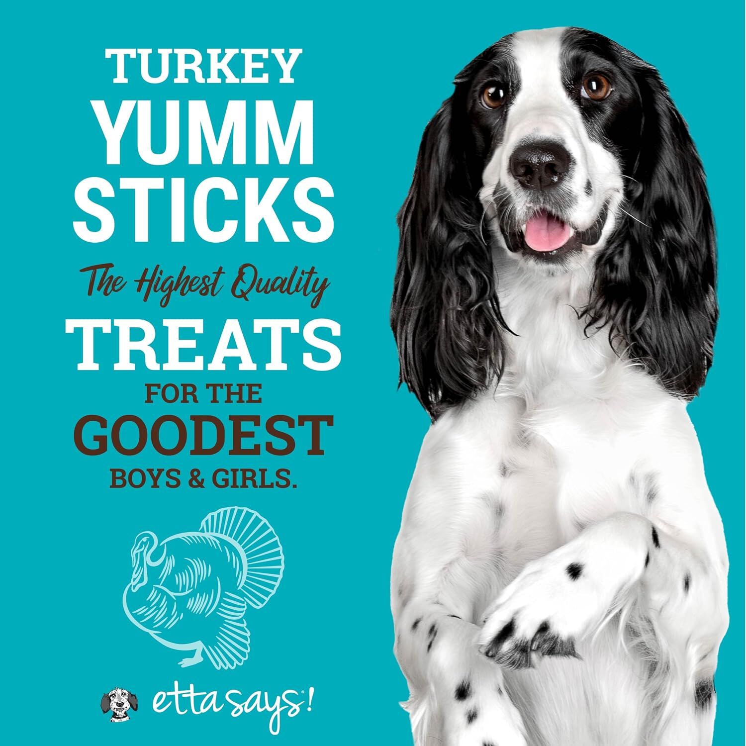 Etta Says! Turkey Yumm Stick Dog Treat, 1 Count