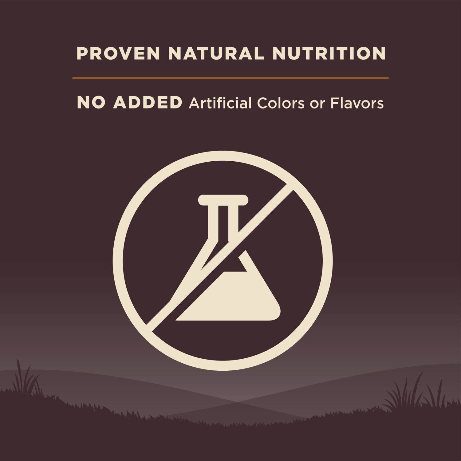 Wellness Core Natural Grain Free Dry Dog Food Wild Game Duck, Lamb Meal, Wild Boar & Rabbit Recipe, 22-Pound Bag