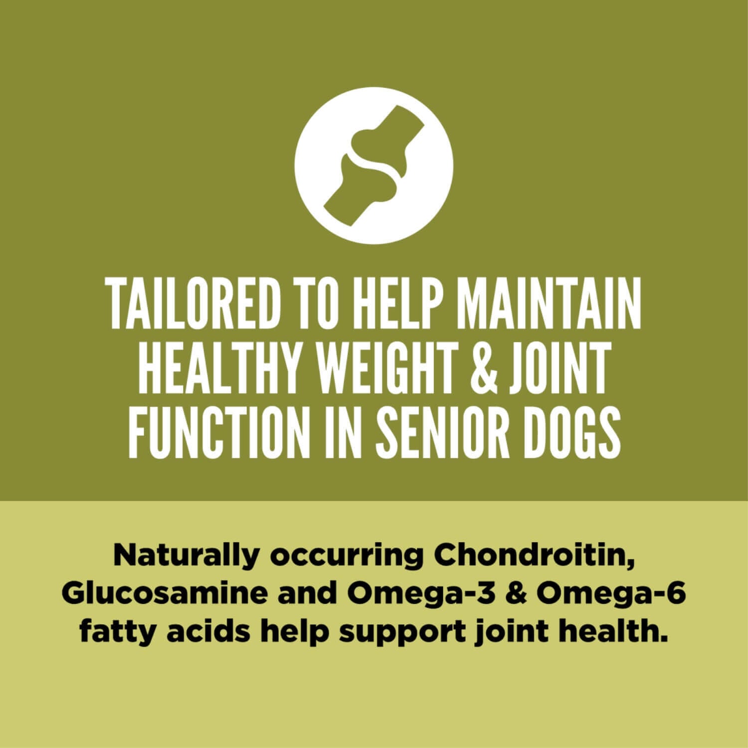 Orijen Senior Grain Free High Protein Dry Dog Food