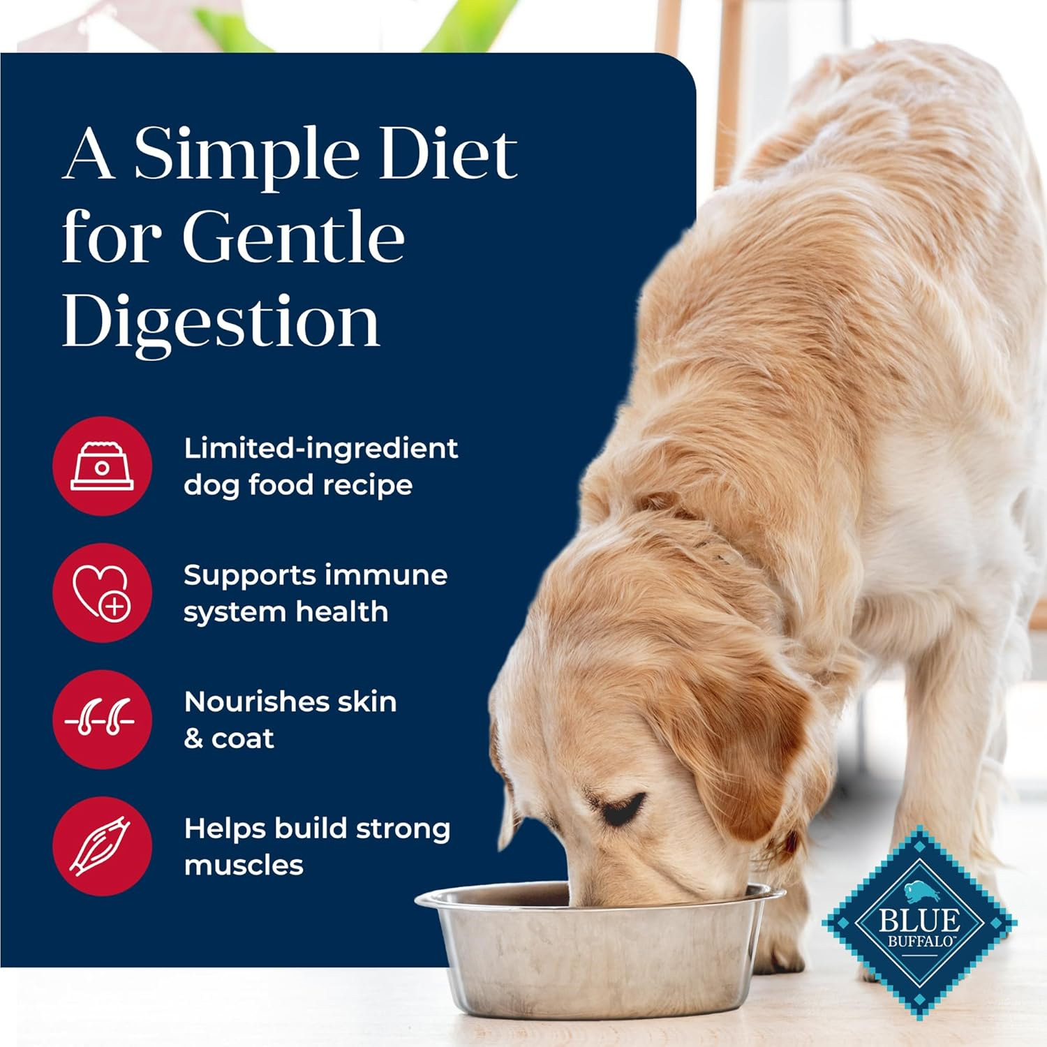 Blue Buffalo Basics Skin & Stomach Care, Grain Free Natural Adult Dry Dog Food, Salmon & Potato 22-Lb