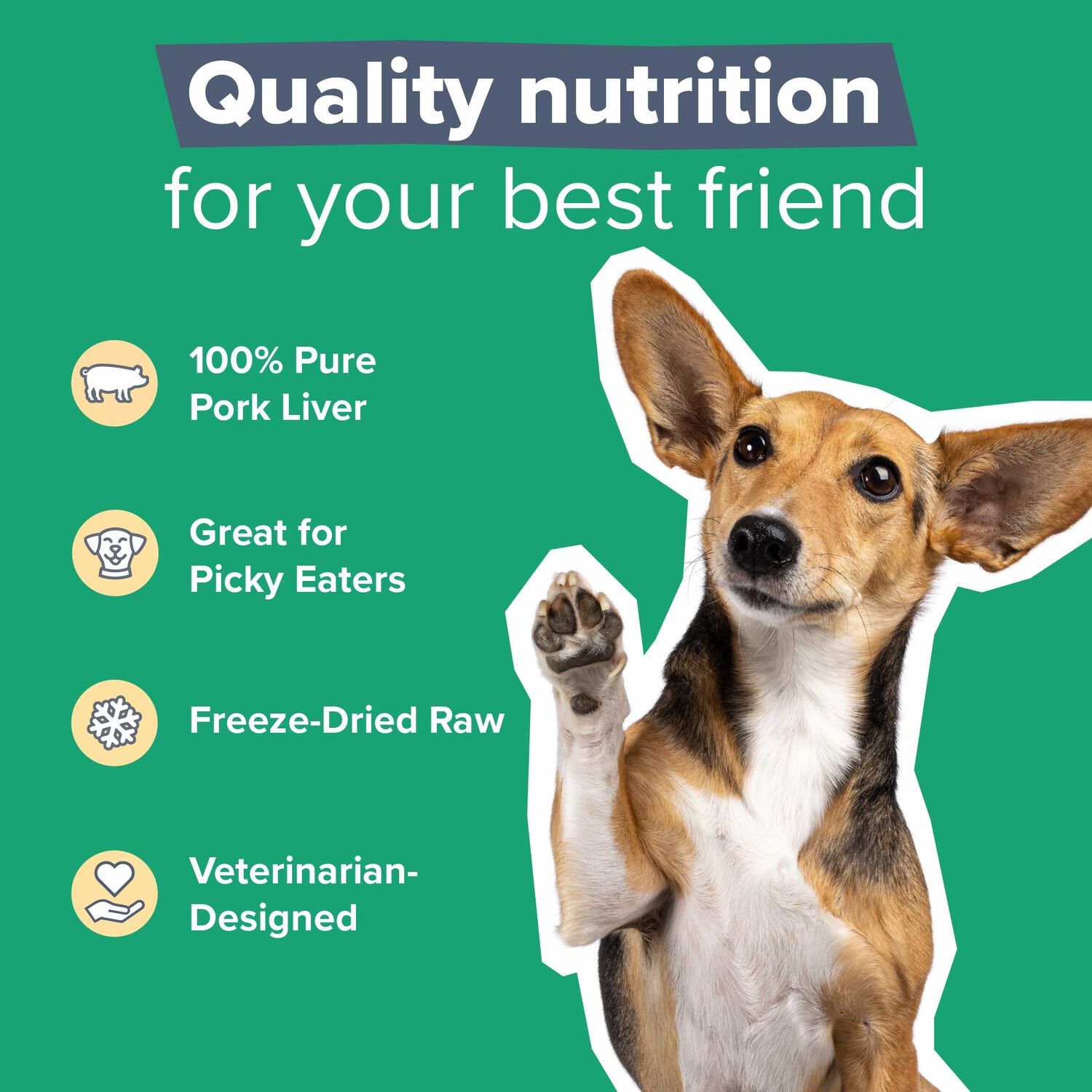 Dr. Marty Red's Rewards Freeze Dried Raw Pork Liver Dog Treats, 4-Oz Bag