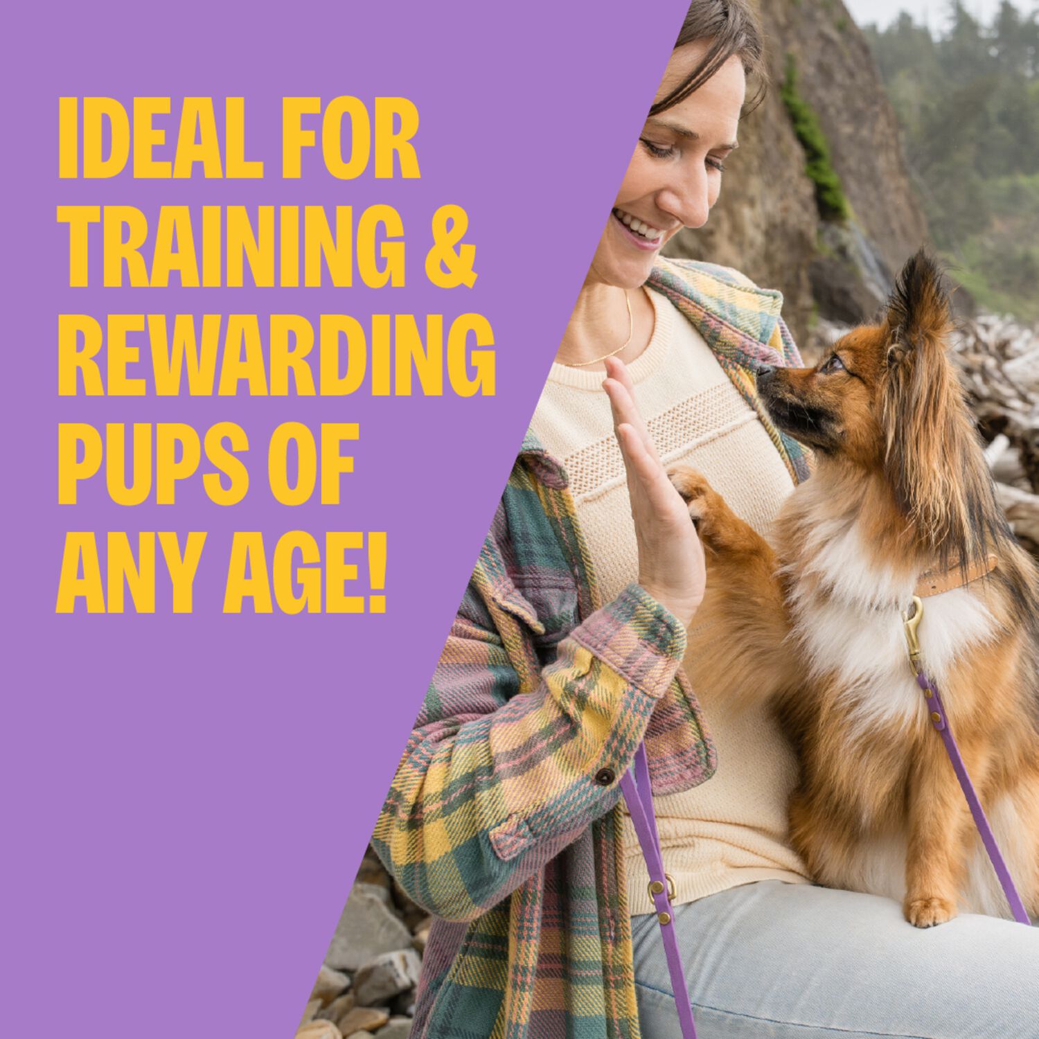 Wellness Puppy Dog Treats, Natural, Training Treat, Grain Free, Soft Lamb & Salmon (3 Ounce Bag)