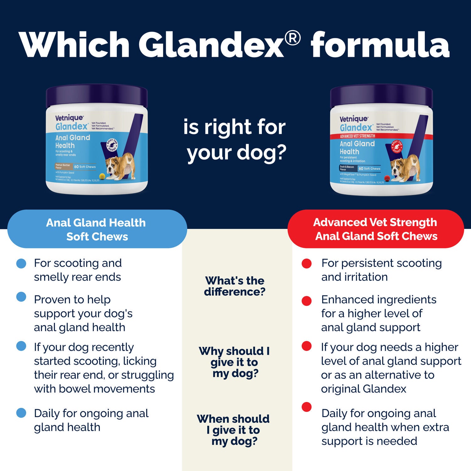 Vetnique Glandex Anal Gland Support Soft Chew Dog Supplements, Peanut Butter Flavor, 60-Count