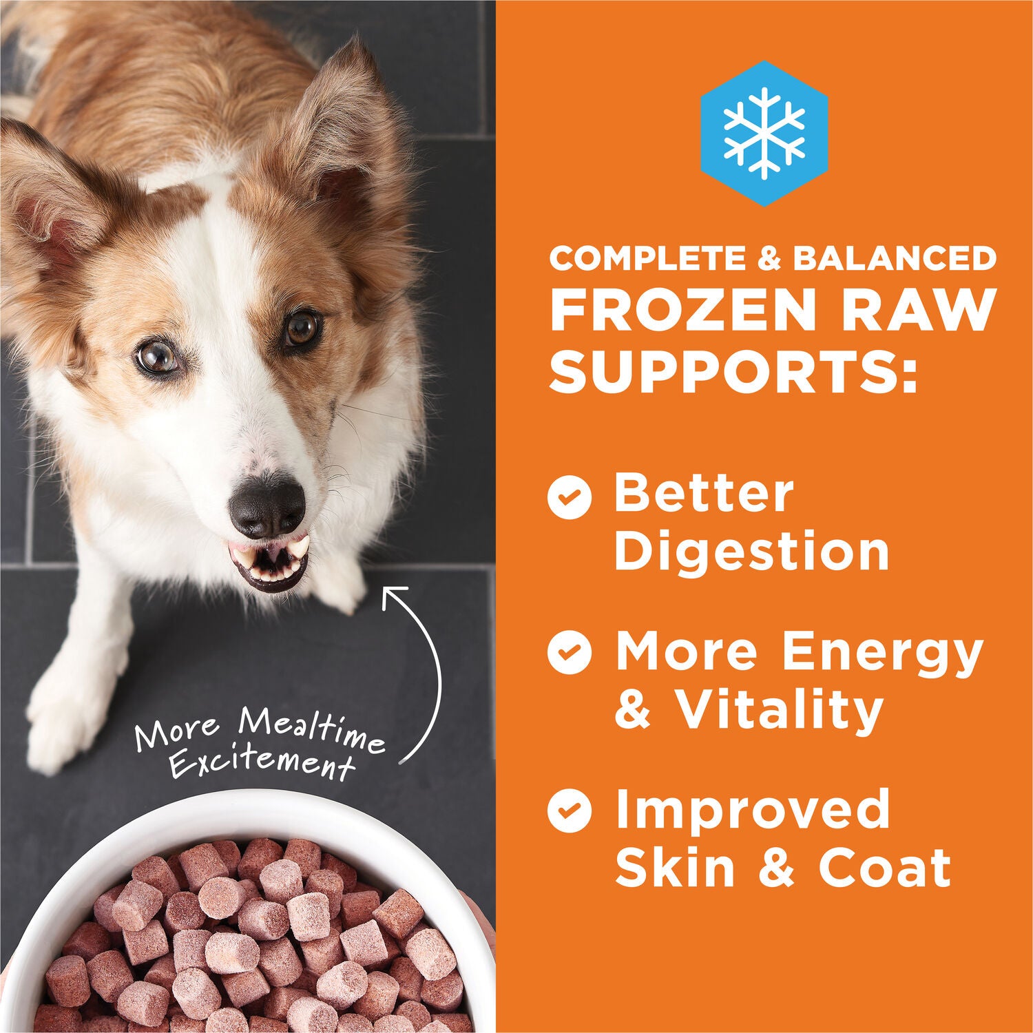 Instinct Raw Grass-Fed Lamb Bites Frozen Dog Food, 5.4Lb