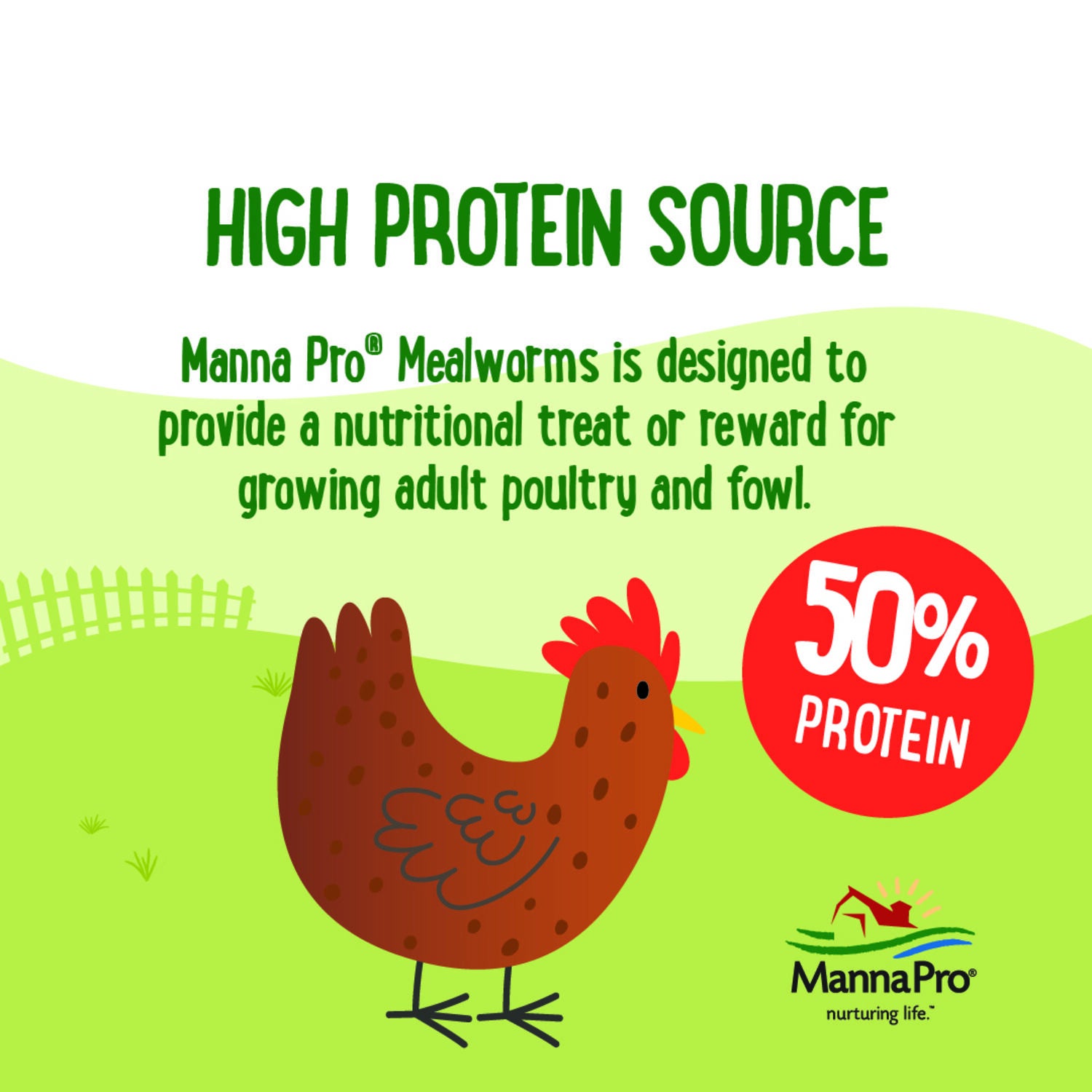 Manna Pro Farmhouse Favorites Mealworm Chicken Treat, 2Lb