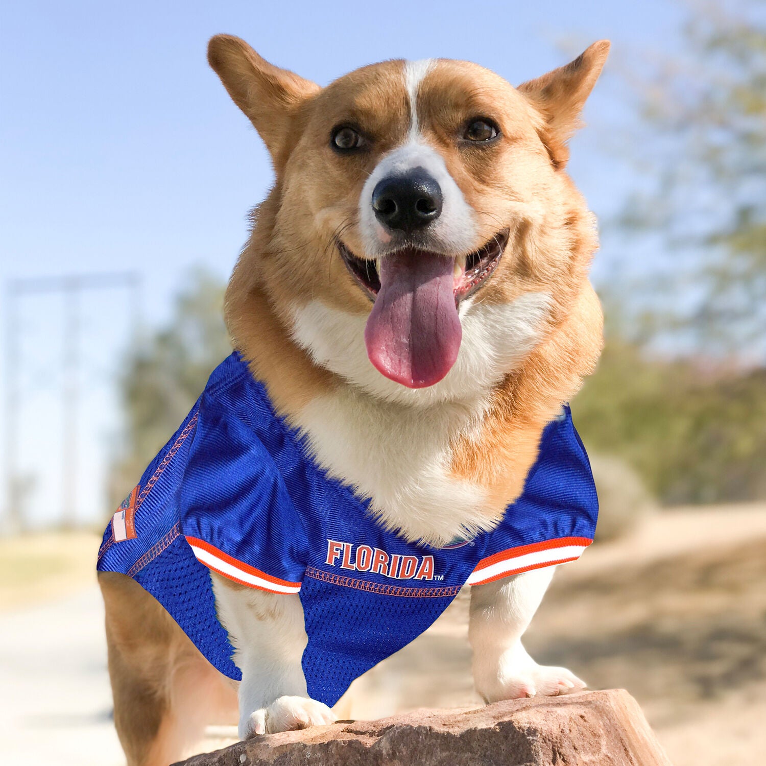 Pets First University Of Florida Gators Mesh Dog Jersey, Extra Large