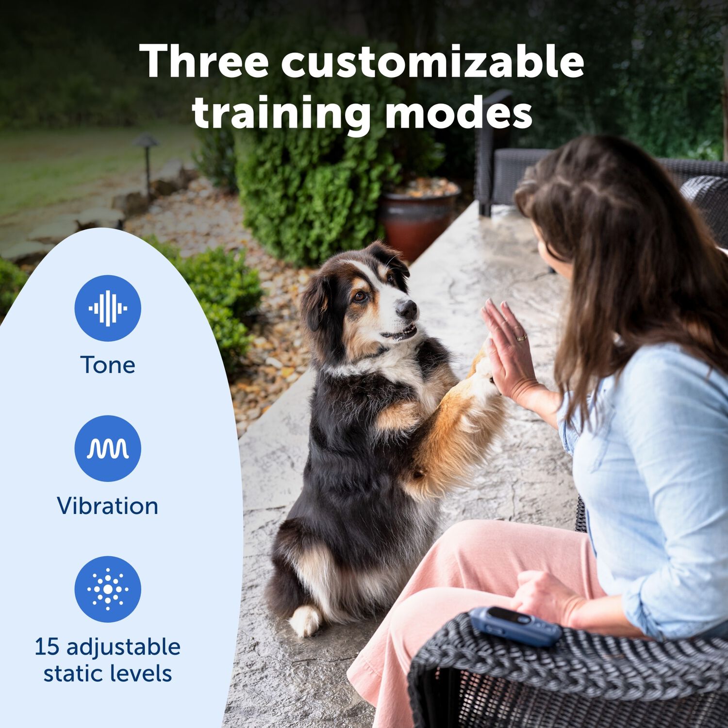 Petsafe Core Dog Trainer With Remote &ndash; Waterproof Dog Training Collar, 1000 Foot Range