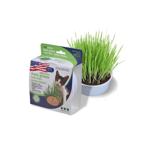 Fresh Greens Organic Cat Grass