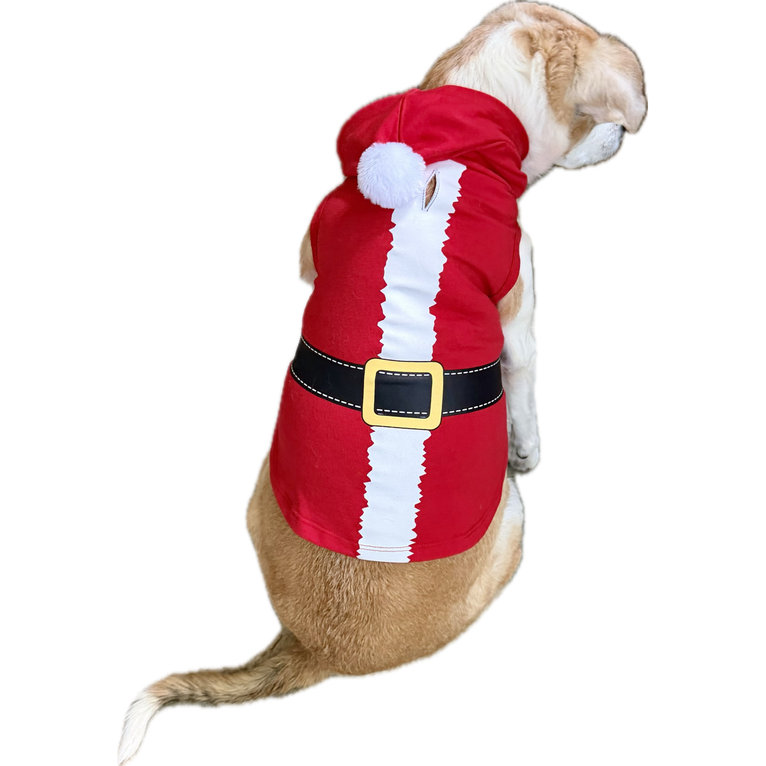 Aristopet Holiday Red Santa Claus Dog Hoodie, Extra Large
