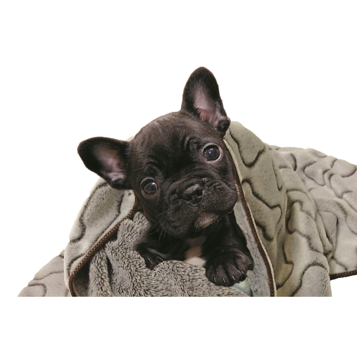 Spot Bones Gray Dog Blanket, 30X40"