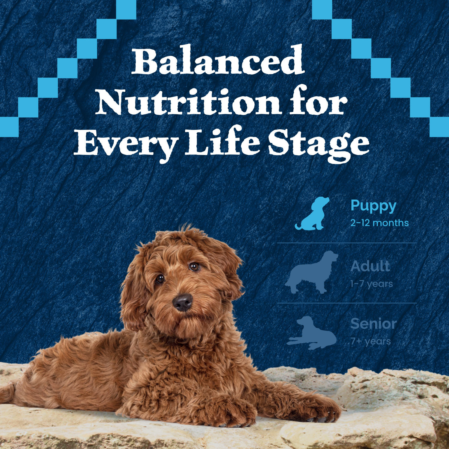 Blue Buffalo Wilderness Chicken Recipe High-Protein Puppy Dry Dog Food, 24Lb