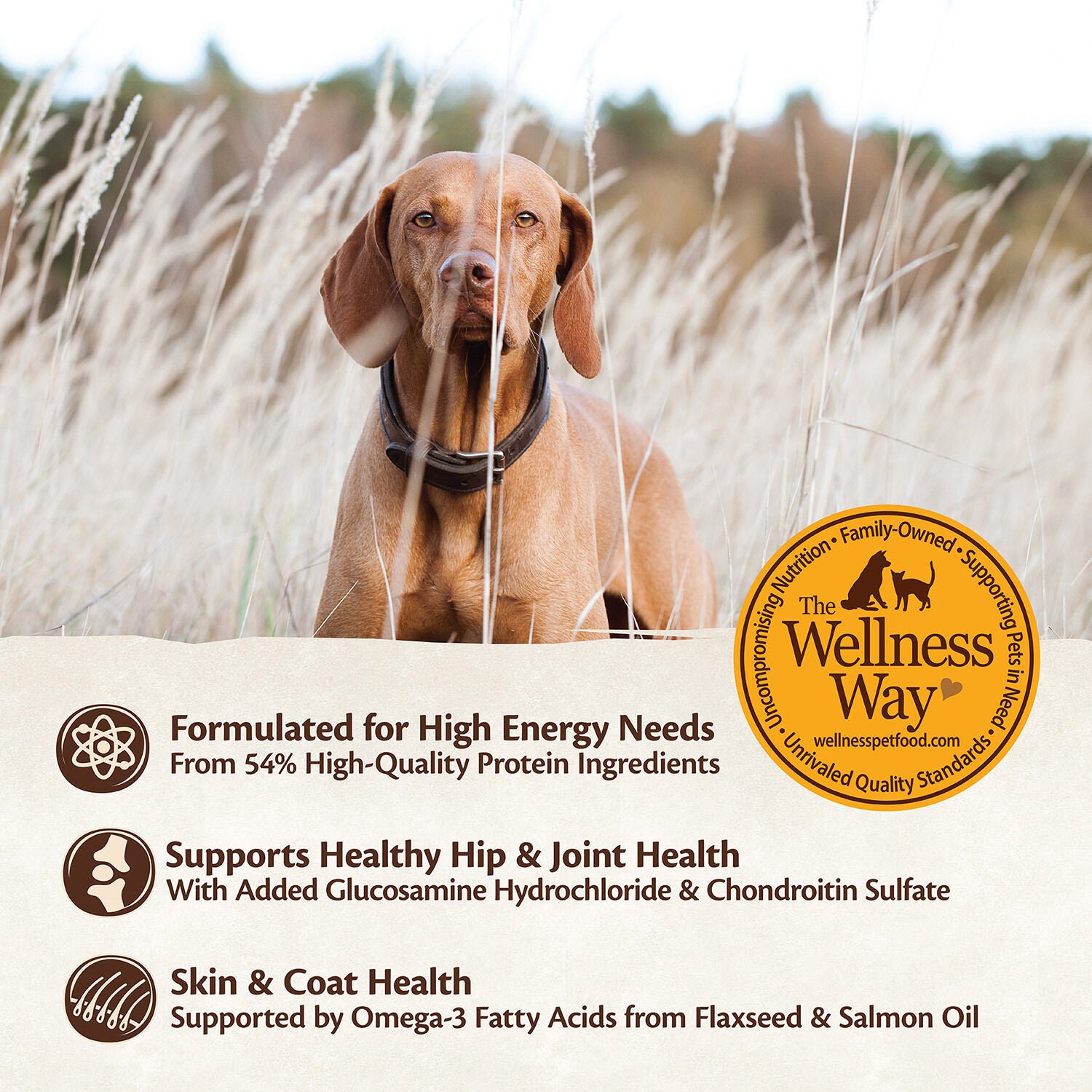 Wellness Core Small Breed Turkey Chicken Recipe Dry Dog Food