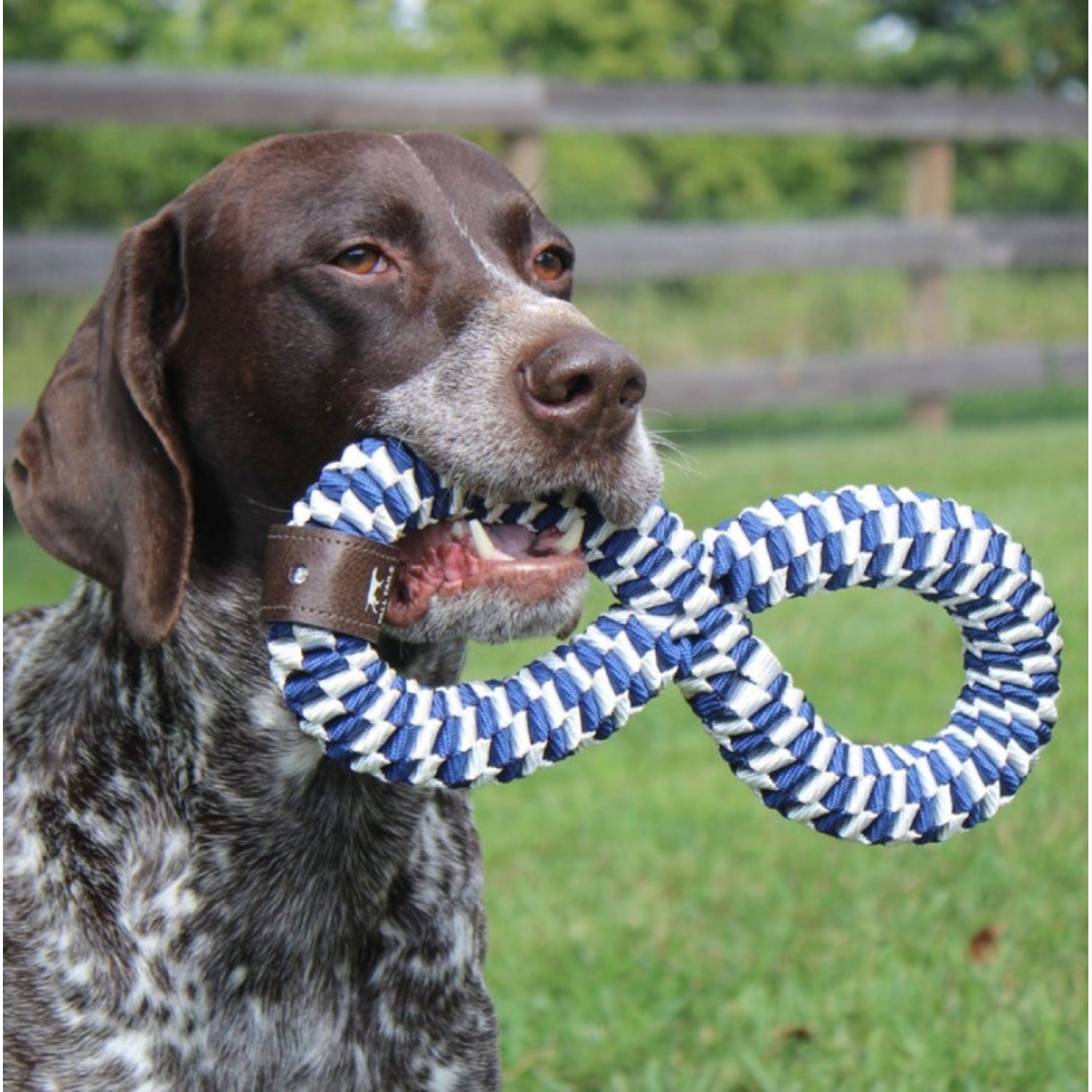 Tall Tails Tug Navy Braided Infinity Interactive Dog Toy, 11"