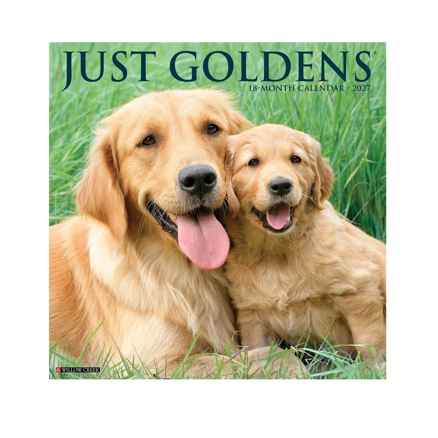 Willow Creek Press Just Goldens 2027 Wall Calendar