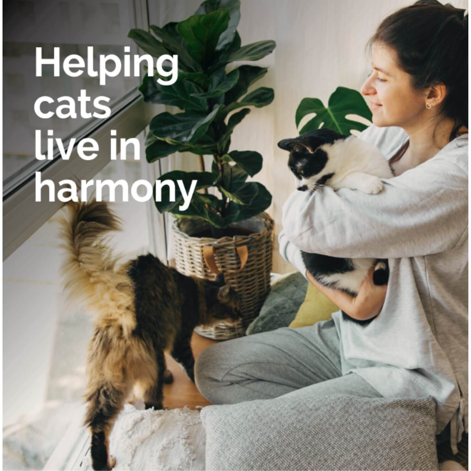 Vetality Harmony Pet Calming Cat Litter Box Diffuser