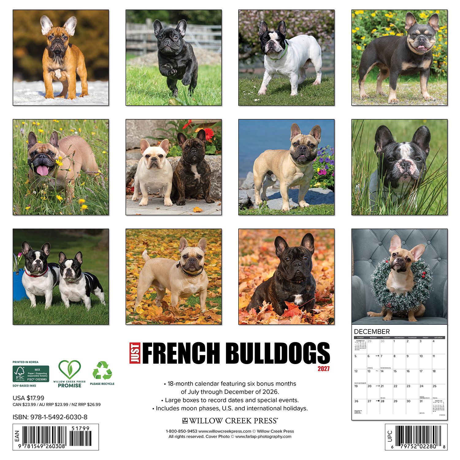 Willow Creek Press Just French Bulldogs 2027 Wall Calendar