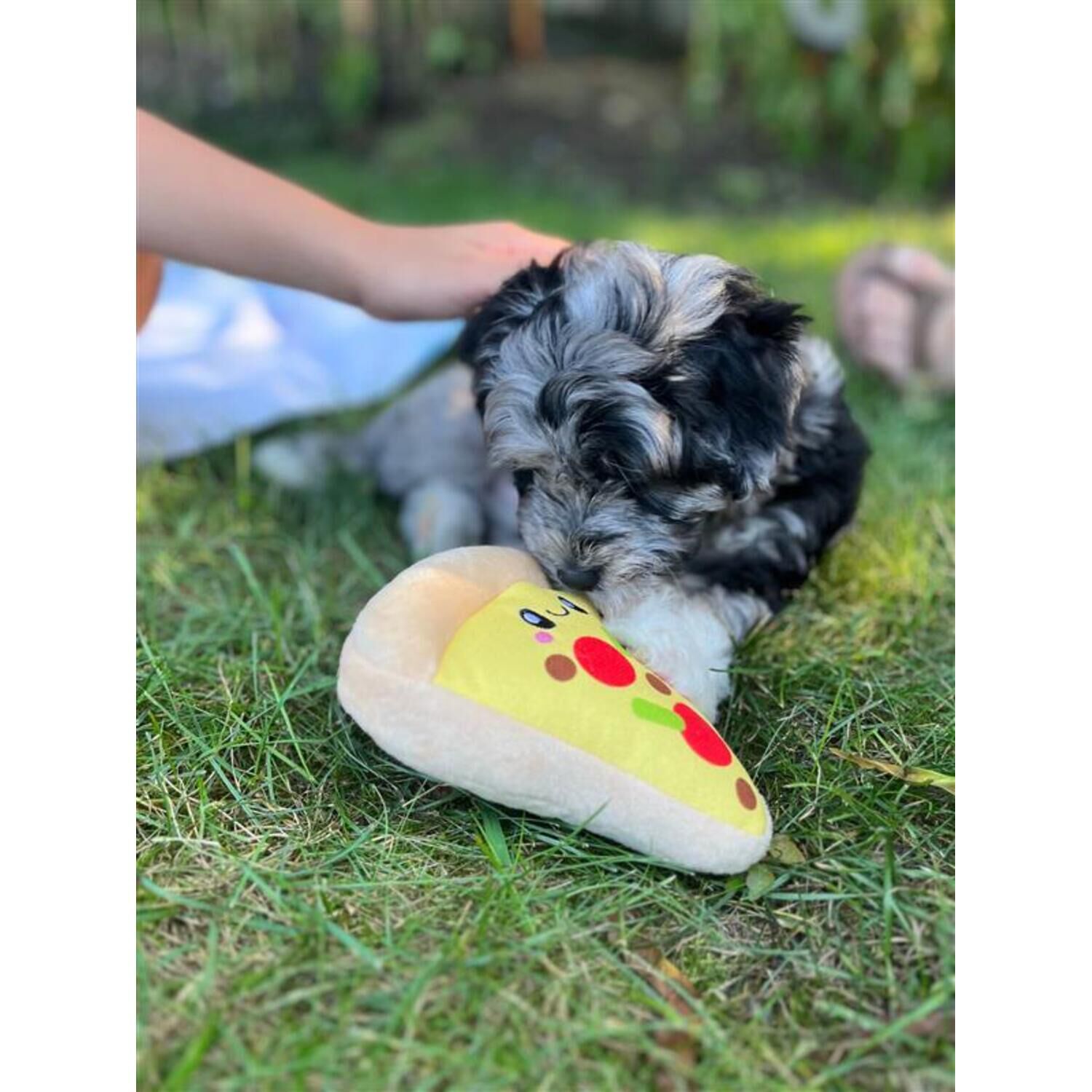 Territory Pizza With Squeaker Dog Toy, 6"