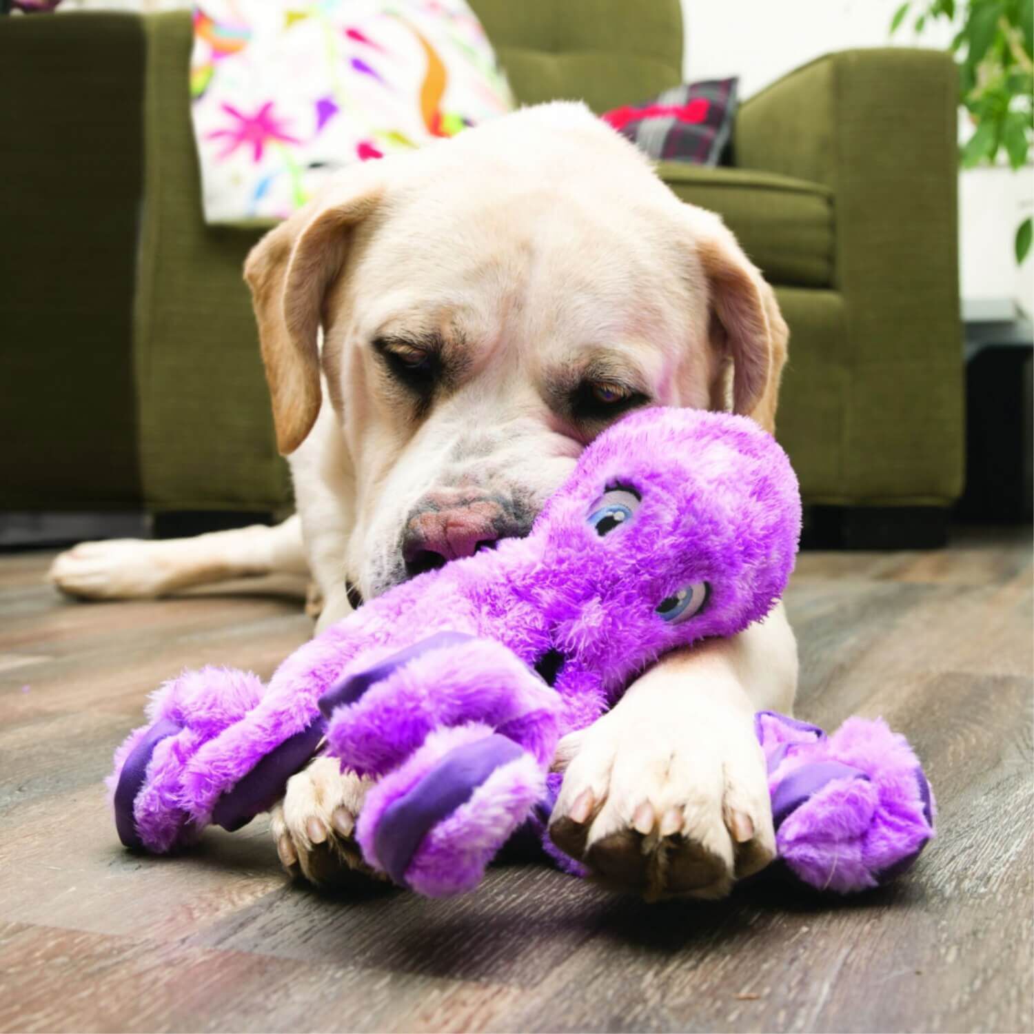Kong Softseas Turtle Plush Squeaky Dog Toy, Large
