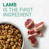 Natural Choice Large Breed Adult Lamb & Rice Recipe Dog Food thumbnail number 5