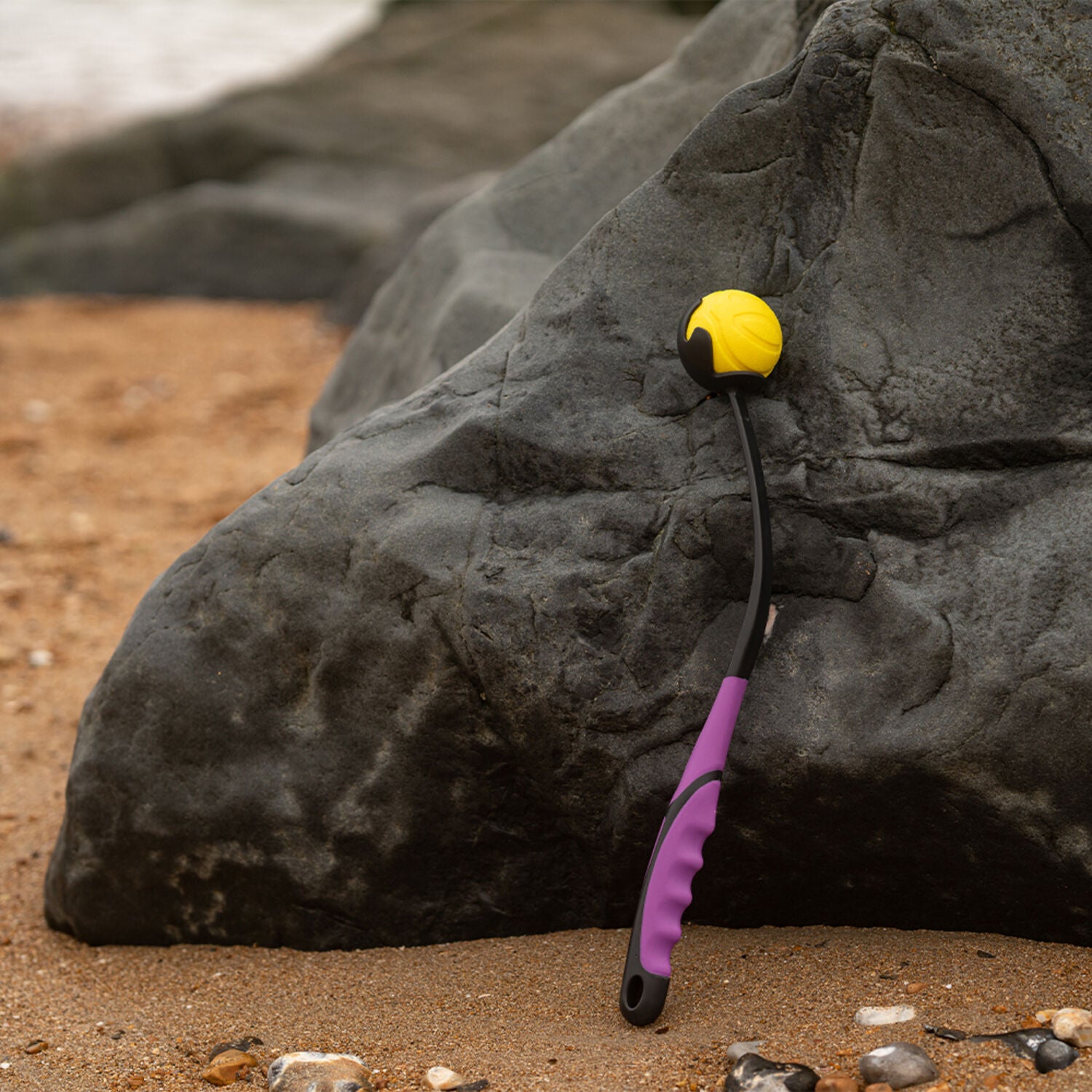 Frubba Launcher & Ball Dog Toy Set