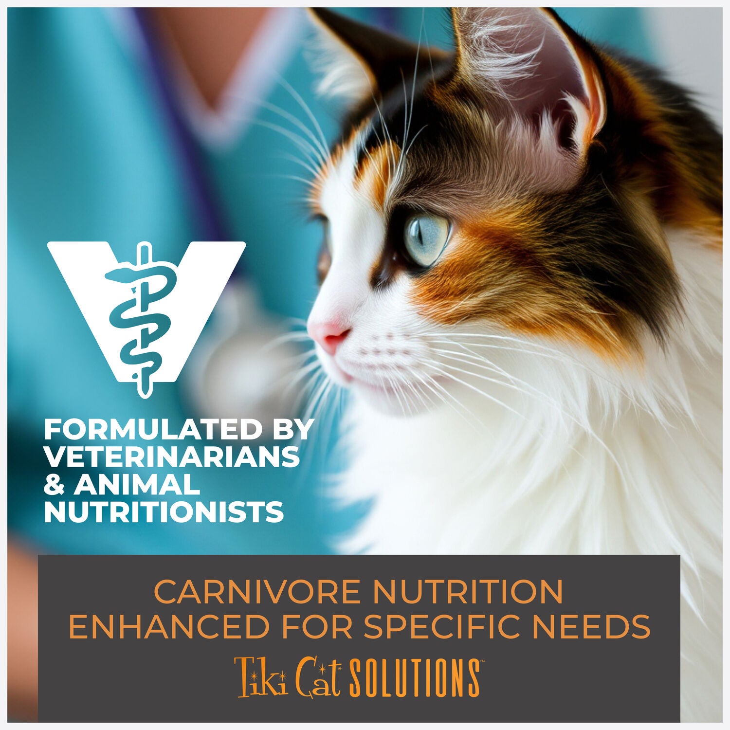 Tiki Cat Solutions Mousse Wet Cat Food, Skin + Coat, Salmon Recipe In Broth, 2.4-Oz Pouch Pack Of 12