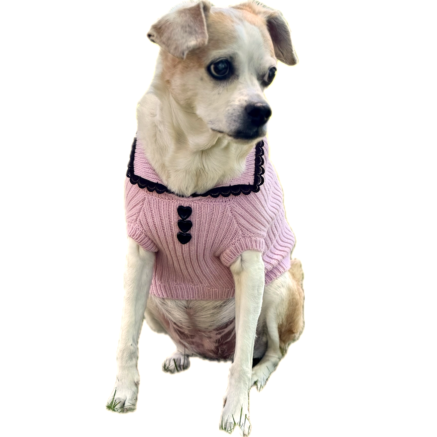 Aristopet Pink Button Heart Rib Knit Dog Sweater, Pink, Large