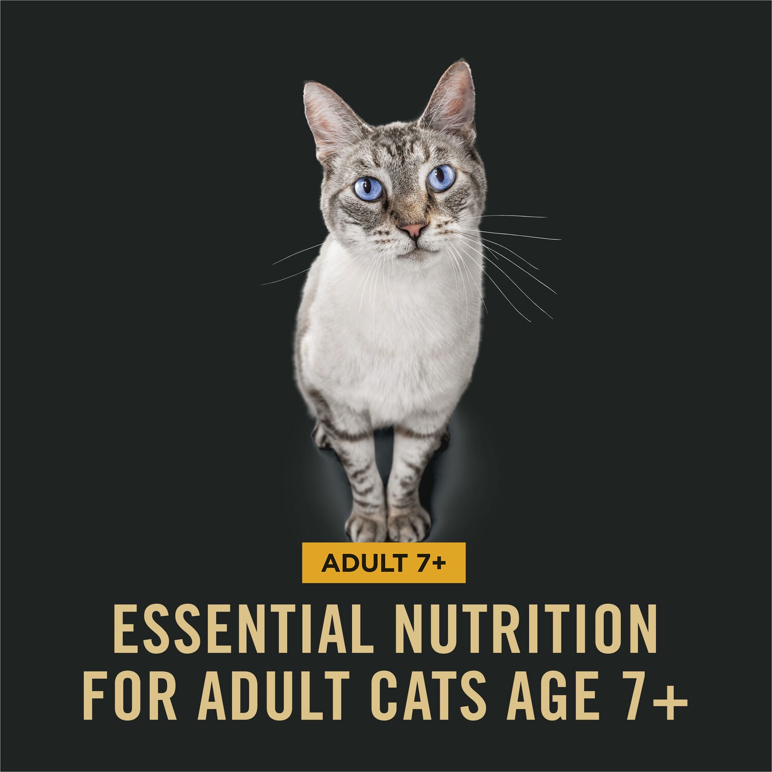 Purina Pro Plan Complete Essentials Senior 7+ Chicken And Rice Formula Dry Cat Food - 3.5-Lb