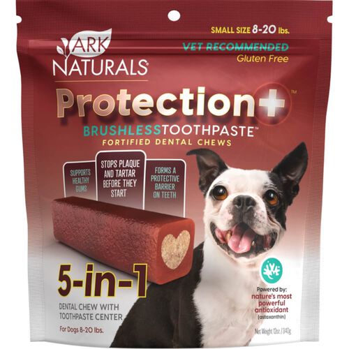 Protection+ Brushless Toothpaste Dental Chew Dog Treat