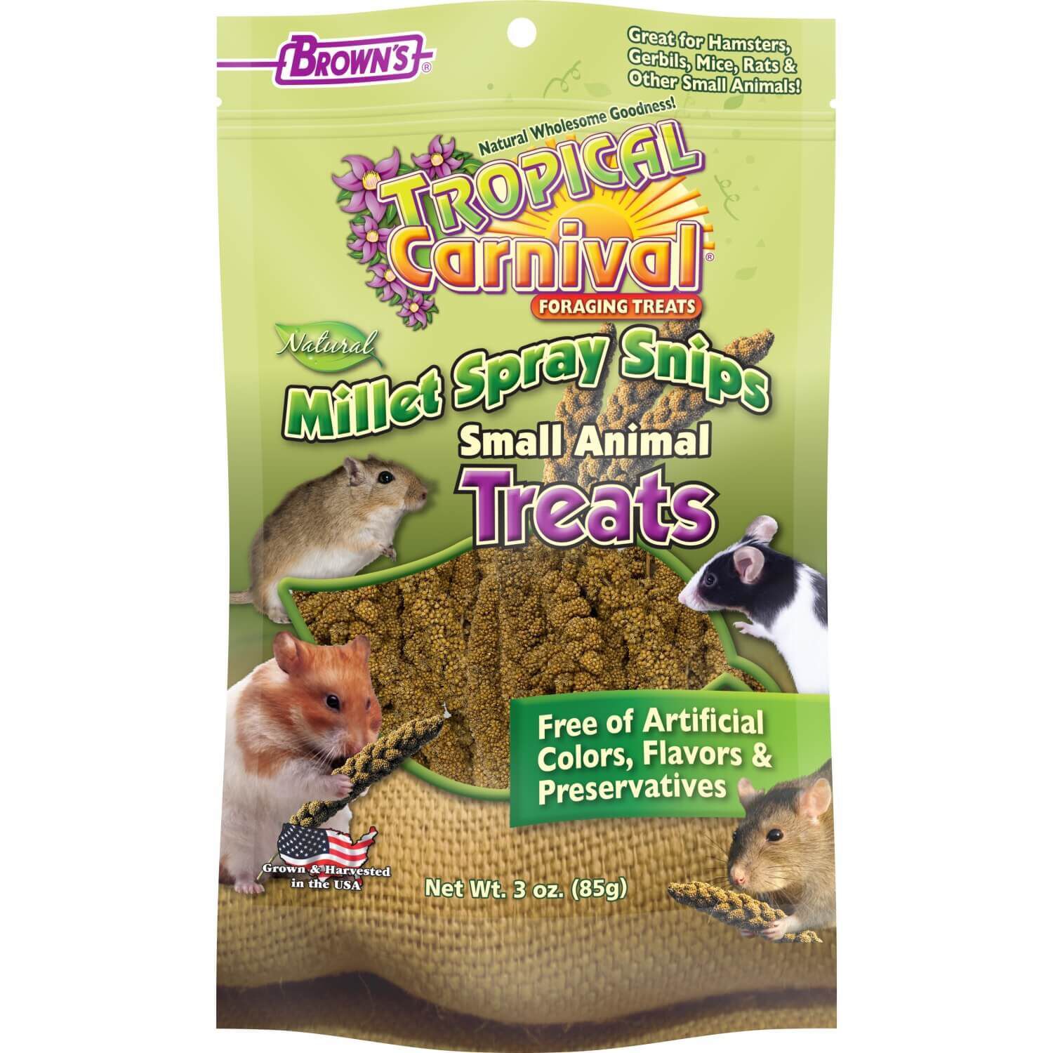 Tropical Carnival Natural Millet Snips Small Animal Treat 3oz Pet
