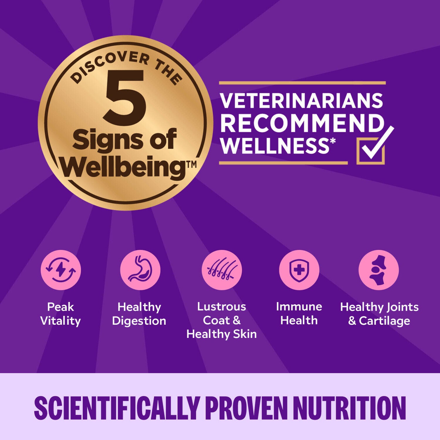Wellness Complete Health Gravy Adult Wet Cat Food, Natural, Protein-Rich, Grain Free, 3 Ounce , Chicken Dinner