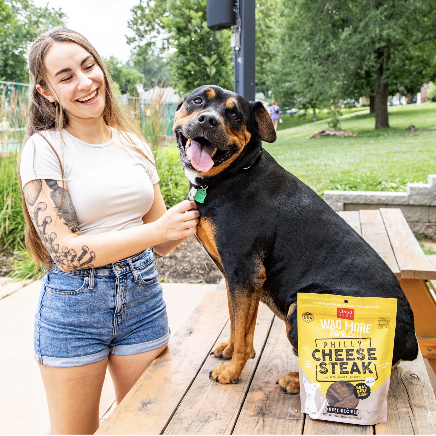 Wag More Bark Less Philly Cheesesteak Beef Jerky Dog Treats, 10-Oz
