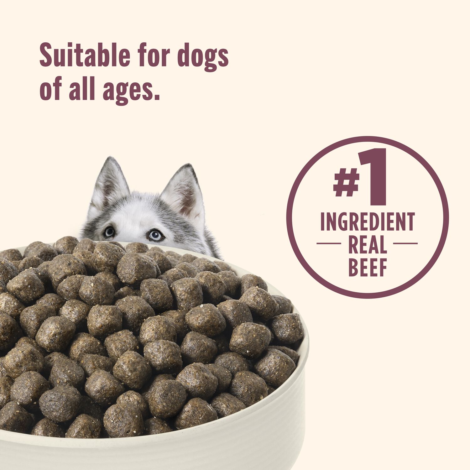 Rachael Ray&reg; Nutrish&trade; High Protein Dry Dog Food, Beef  Potato & Peas Recipe With Venison & Lamb, 23-Lb Bag