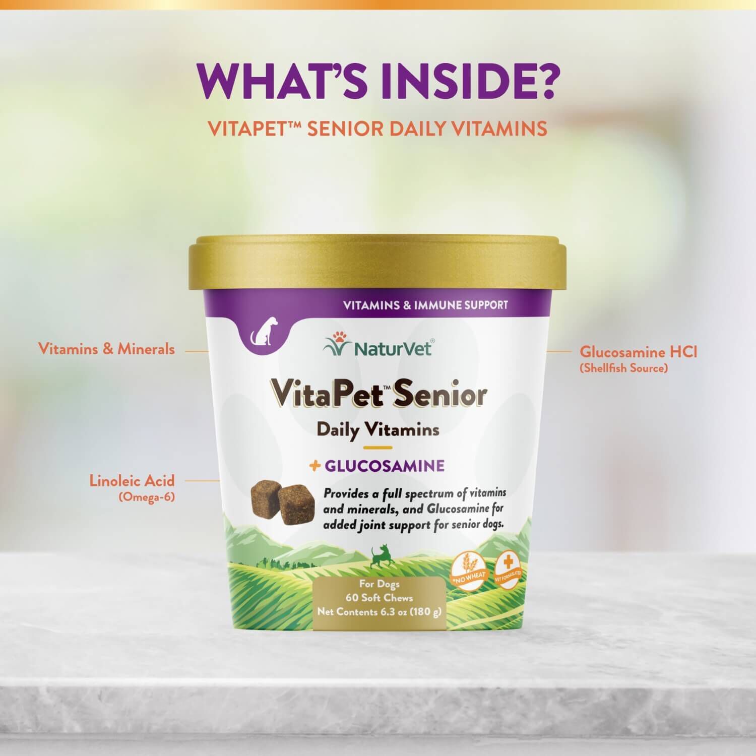 Naturvet Vitapet Senior Daily Vitamins Plus Glucosamine Soft Chews For Dogs