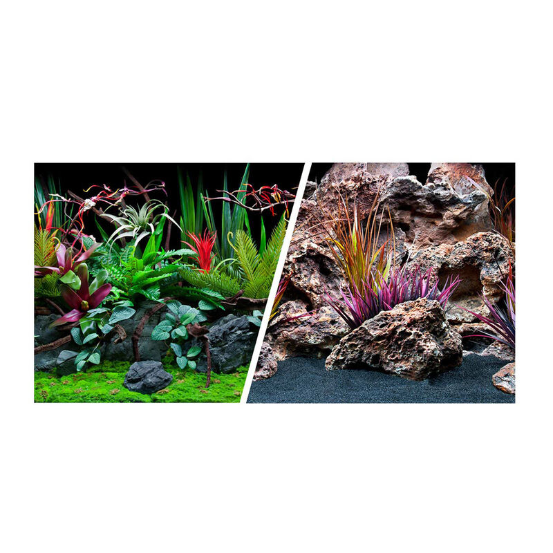Brig Gezond Zegevieren Flora/Redlace Aquarium Background