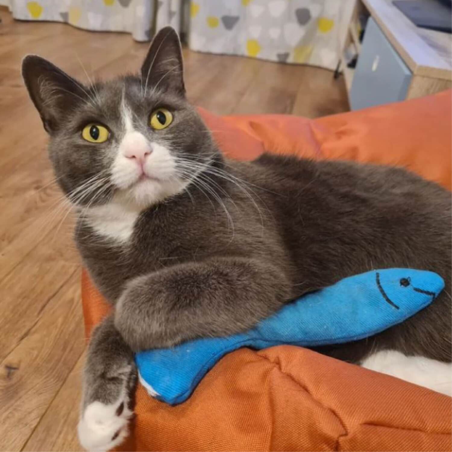 King Catnip Sardine Cat Toy Filled With Organic Catnip