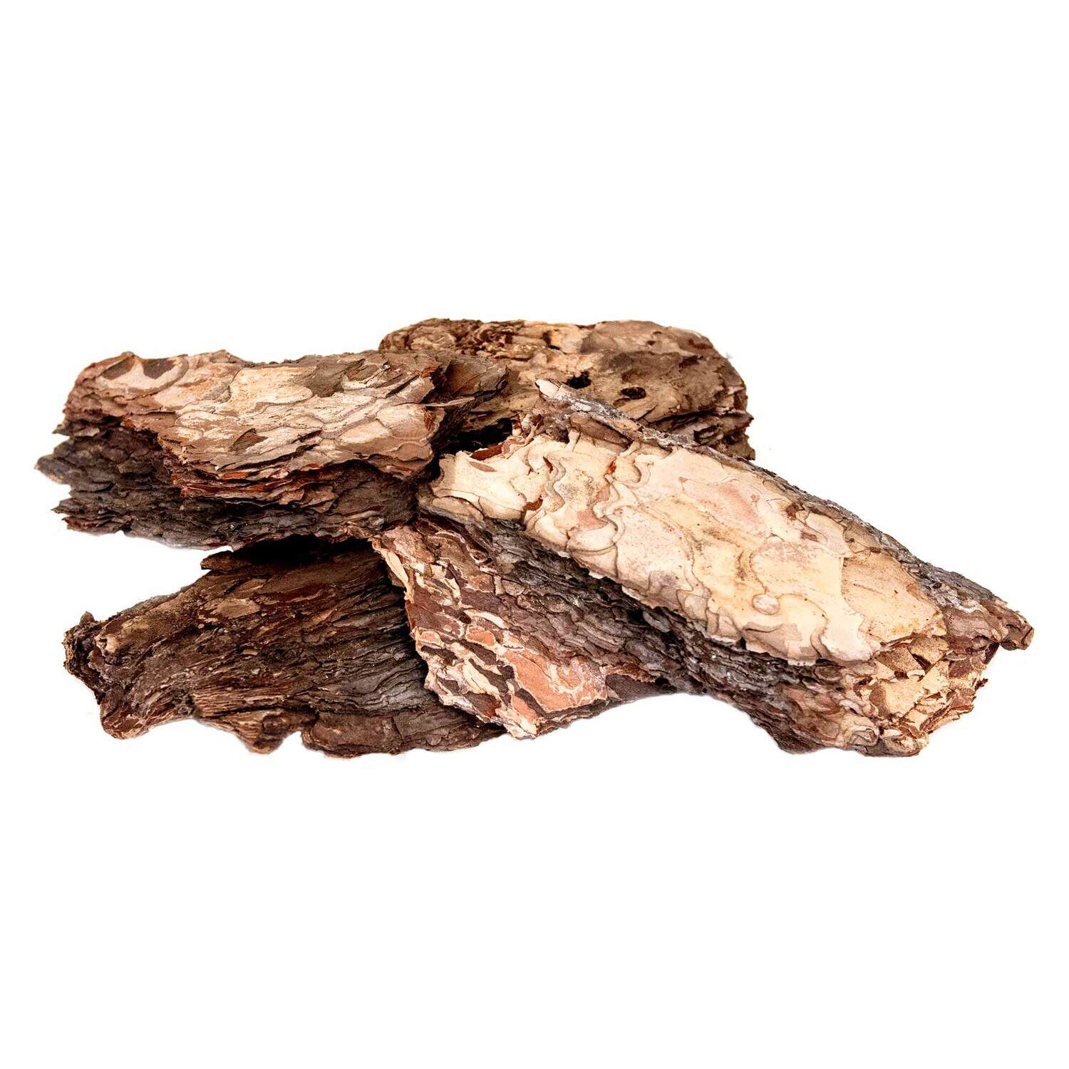 Gal&aacute;pagos Terrarium Starter Kit, Arid Environment, 4.5Qt Box