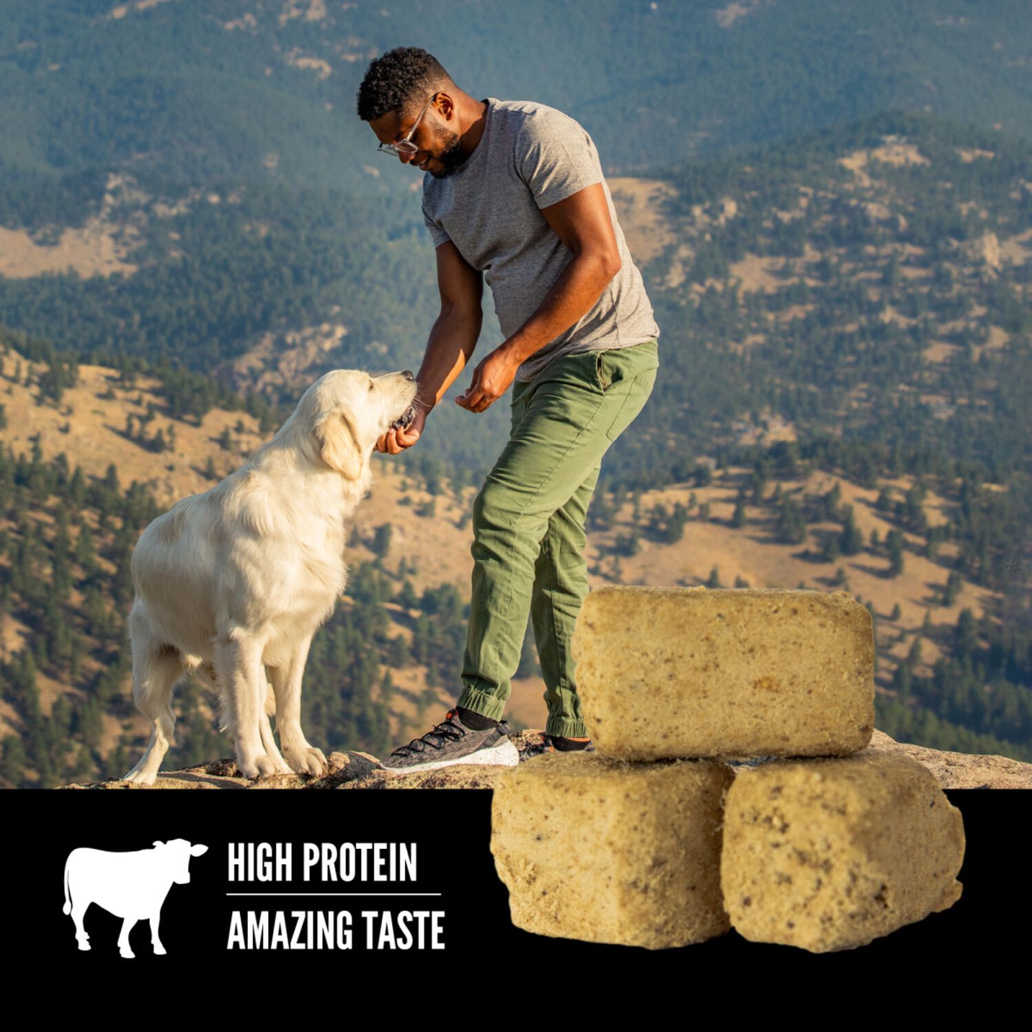 Orijen Original Recipe  Grain-Free High-Protein Freeze-Dried Dog Treats, 3.25-Oz Bag