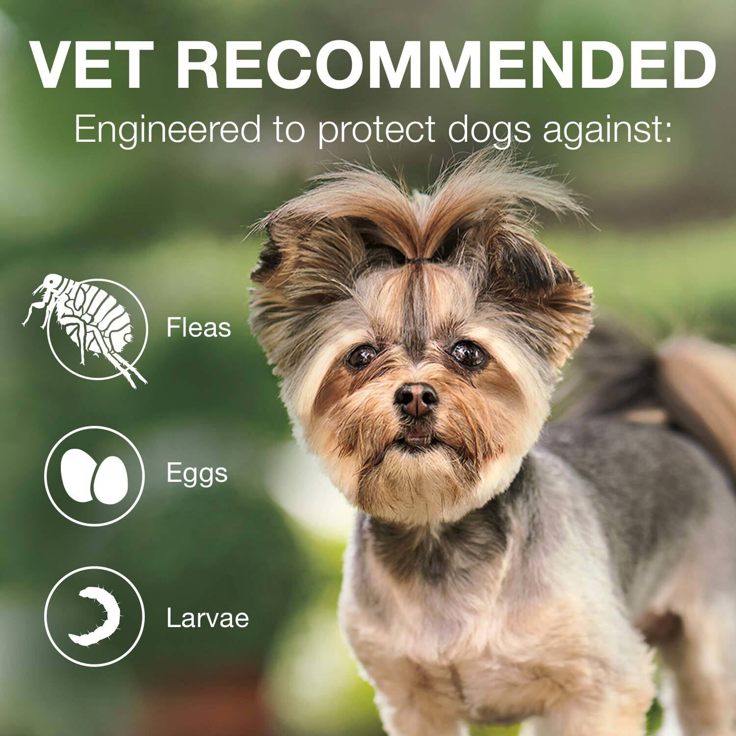 Advantage Ii Flea Treatment For Small Dogs, 3-10-Lbs, 6-Pack = 6 Months Of Protection