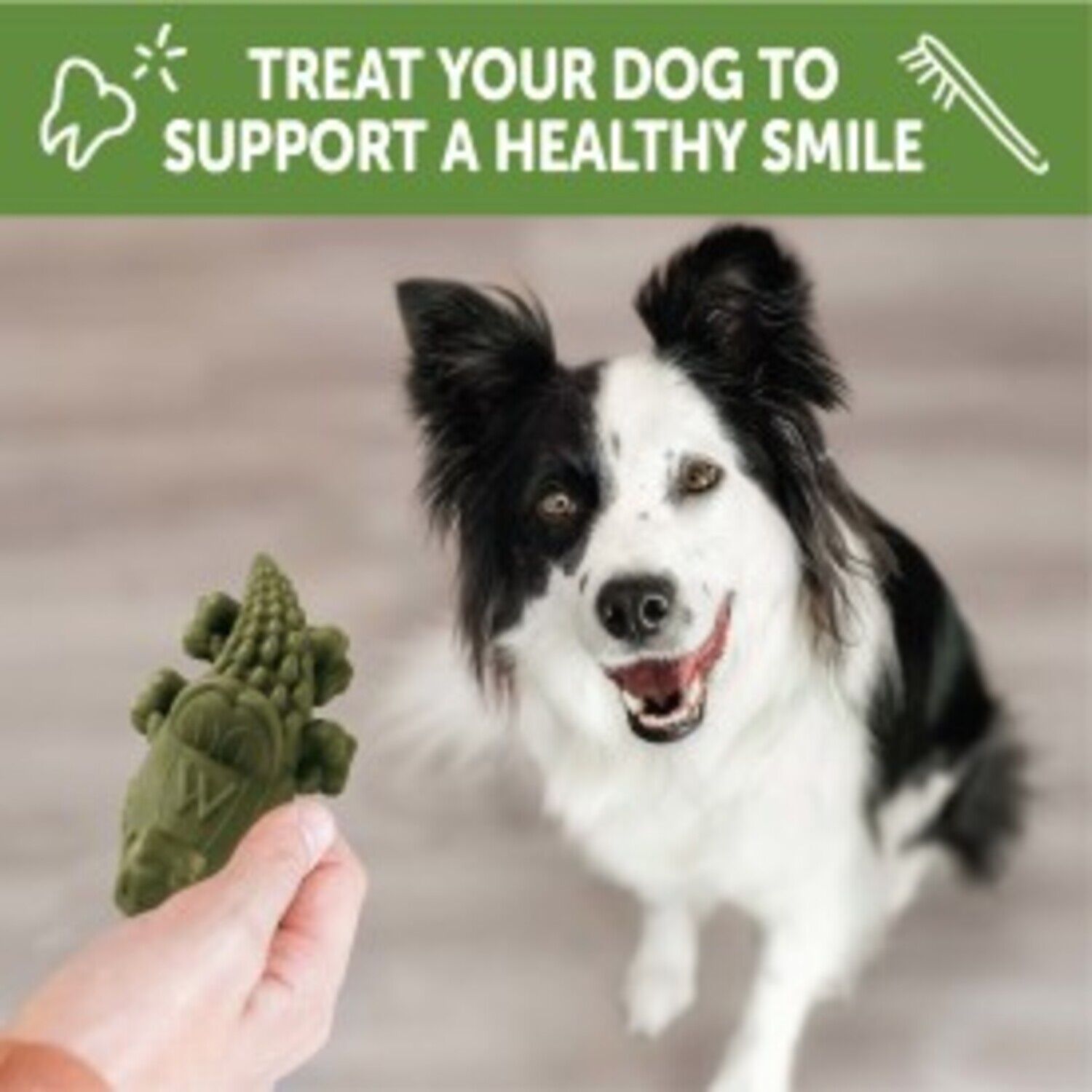Whimzees Alligator Natural Grain Free Dental Chews For Dogs, Medium, 12 Count