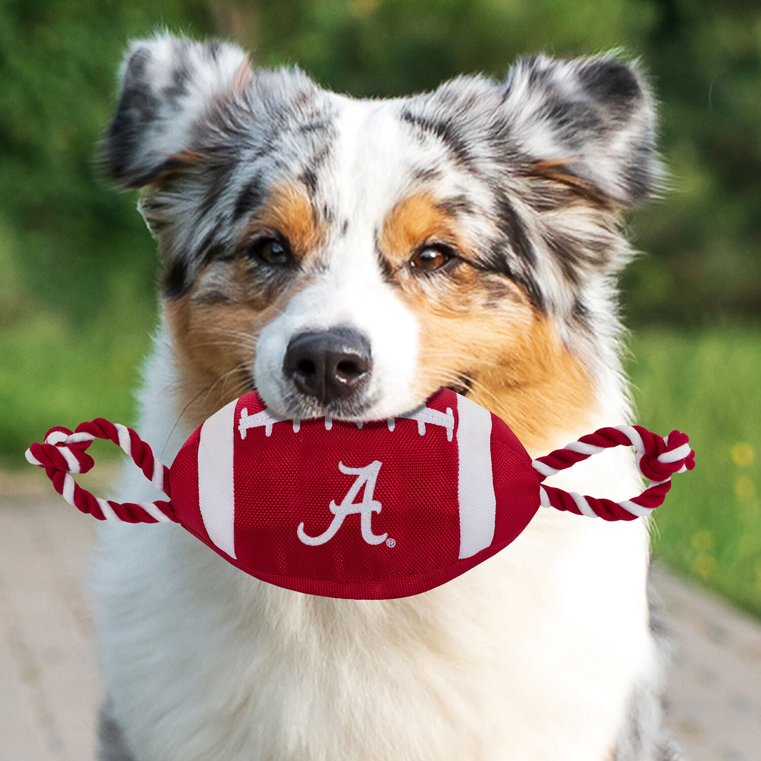 Pets First Ncaa Alabama Crimson Tide Football Plush Tug Dog Toy, 17"