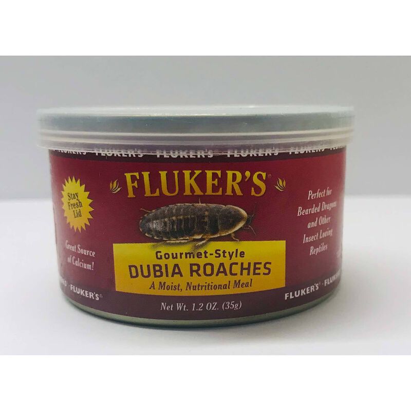 Fluker'S  Gourmet Canned Dubia Roaches image number 1