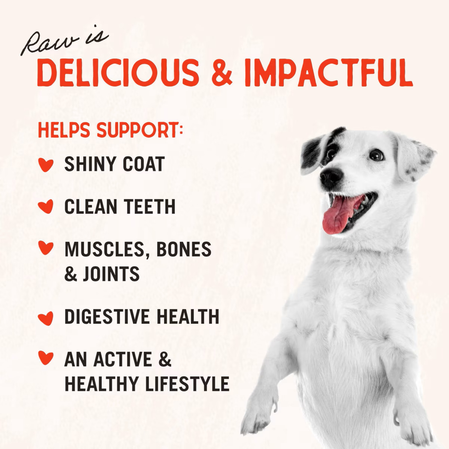 Stella & Chewy's Raw Blend Wholesome Grains Baked Dry Dog Food, Cage Free Recipe, 3.5-Lb Bag